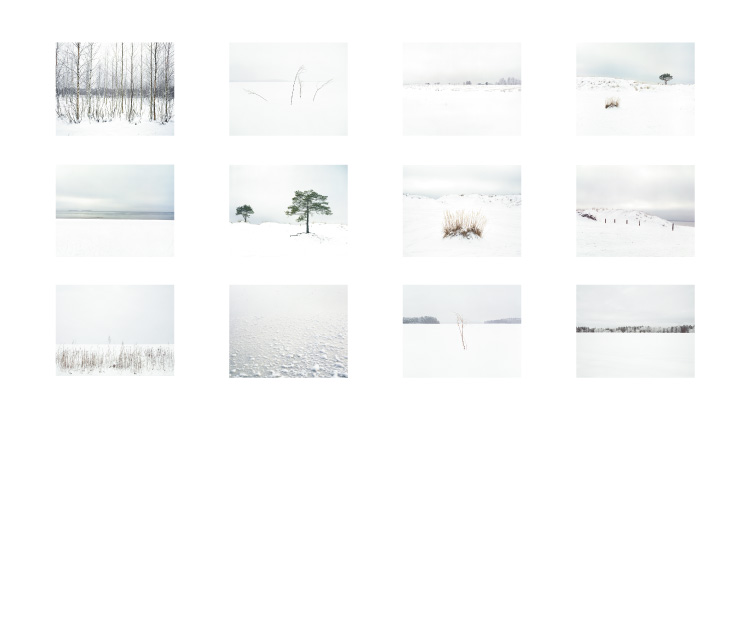 Download The Twelfth Day Contact Sheet